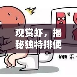 觀賞蝦，揭秘獨特排便魅力的秘密