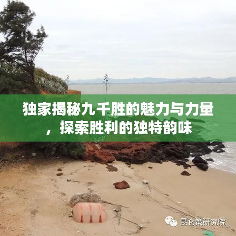 獨家揭秘九千勝，魅力與力量的獨特韻味探索