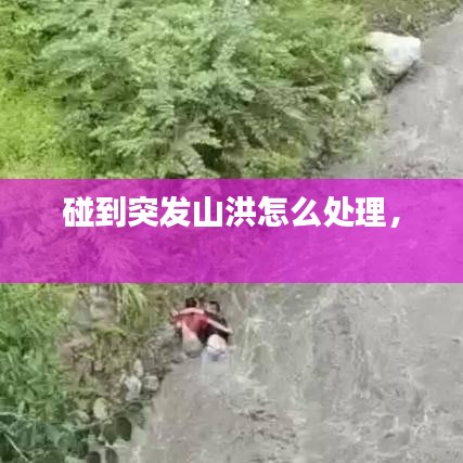 樸素?zé)o華 第2頁(yè)