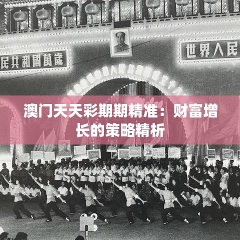 澳門天天彩期期精準(zhǔn)：財(cái)富增長的策略精析