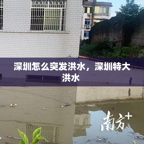 深圳怎么突發(fā)洪水，深圳特大洪水 