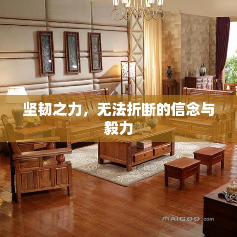 堅韌之力，無法折斷的信念與毅力