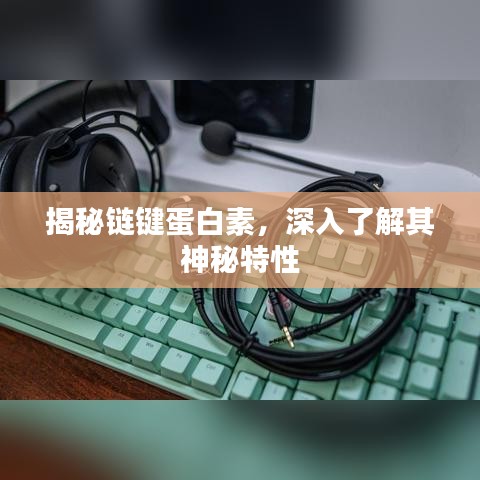 揭秘鏈鍵蛋白素，深入了解其神秘特性