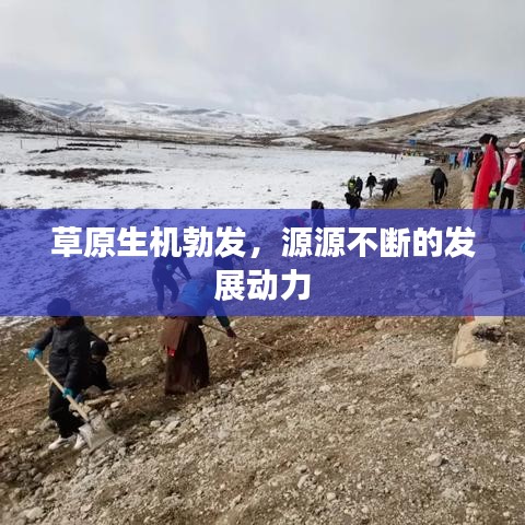 草原生機勃發(fā)，源源不斷的發(fā)展動力