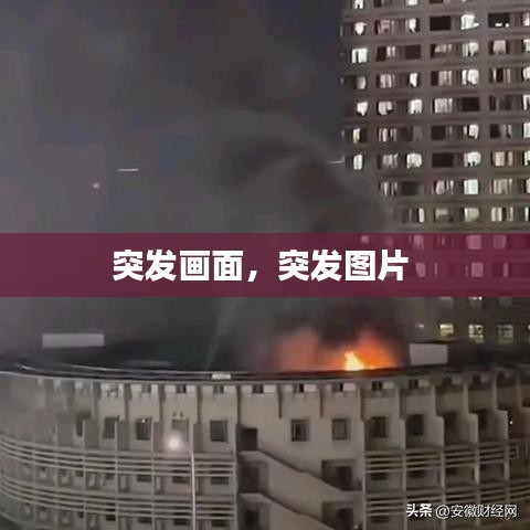 就正有道 第2頁