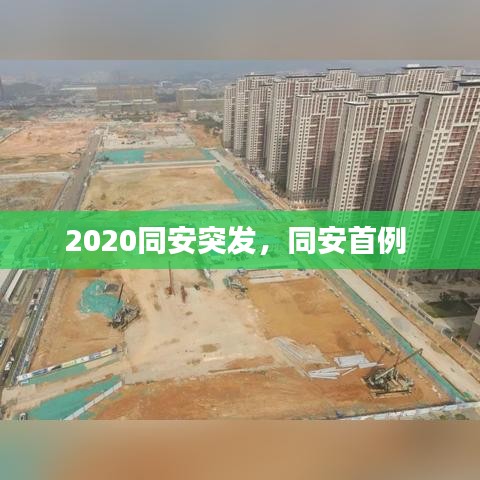 半截鳥木 第2頁(yè)