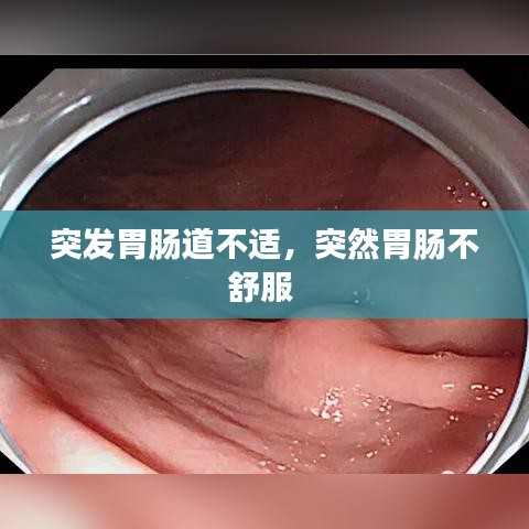 突發(fā)胃腸道不適，突然胃腸不舒服 