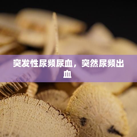 突發(fā)性尿頻尿血，突然尿頻出血 