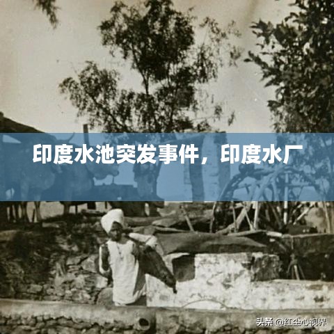 印度水池突發(fā)事件，印度水廠 