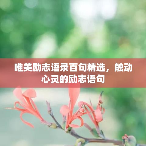 唯美勵(lì)志語錄百句精選，觸動(dòng)心靈的勵(lì)志語句