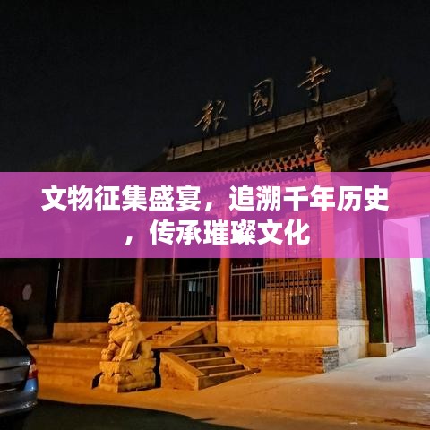 文物征集盛宴，追溯千年歷史，傳承璀璨文化