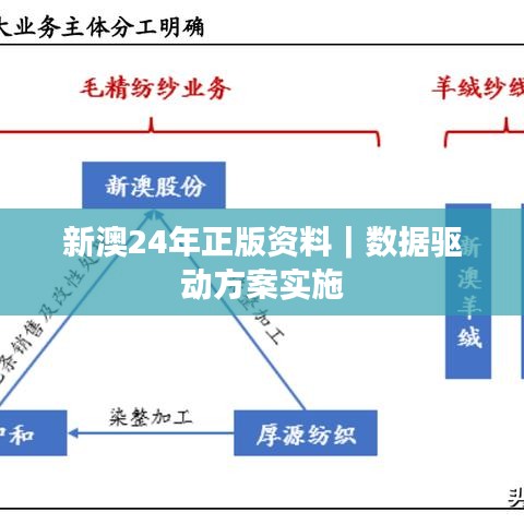 新澳24年正版資料｜數(shù)據(jù)驅(qū)動(dòng)方案實(shí)施