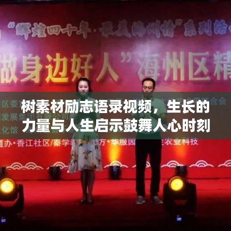 樹素材勵志語錄視頻，生長的力量與人生啟示鼓舞人心時刻