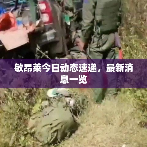 敏昂萊今日動態(tài)速遞，最新消息一覽