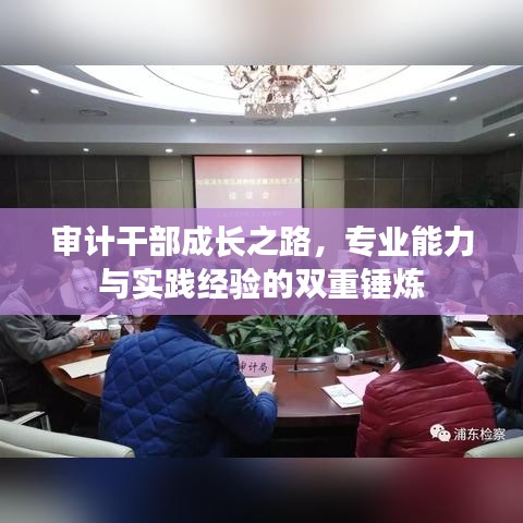審計(jì)干部成長之路，專業(yè)能力與實(shí)踐經(jīng)驗(yàn)的雙重錘煉