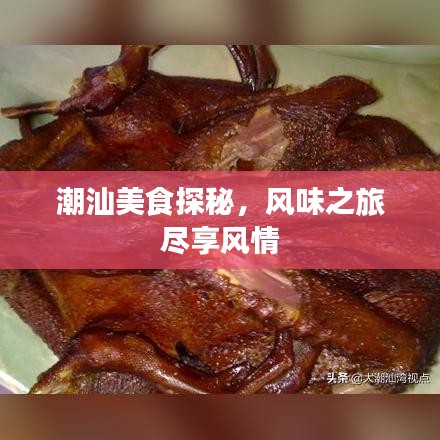 潮汕美食探秘，風(fēng)味之旅盡享風(fēng)情