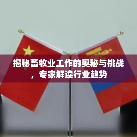 揭秘畜牧業(yè)工作的奧秘與挑戰(zhàn)，專家解讀行業(yè)趨勢