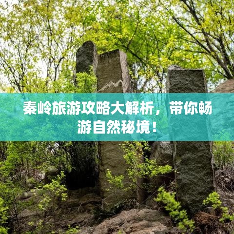 秦嶺旅游攻略大解析，帶你暢游自然秘境！