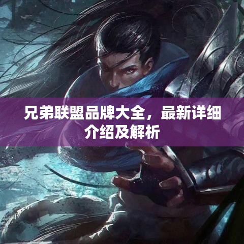兄弟聯(lián)盟品牌大全，最新詳細介紹及解析