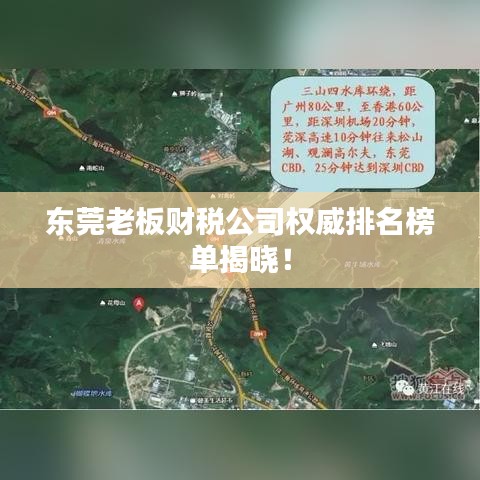 東莞老板財(cái)稅公司權(quán)威排名榜單揭曉！