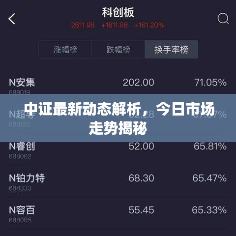 中證最新動態(tài)解析，今日市場走勢揭秘