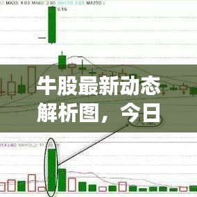 牛股最新動態(tài)解析圖，今日市場走勢揭秘