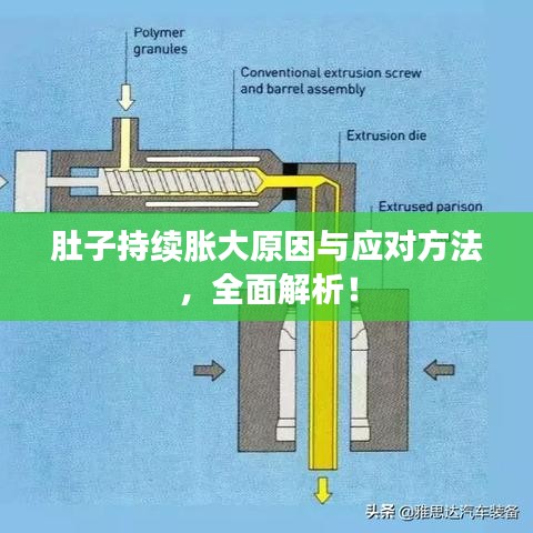 肚子持續(xù)脹大原因與應(yīng)對(duì)方法，全面解析！