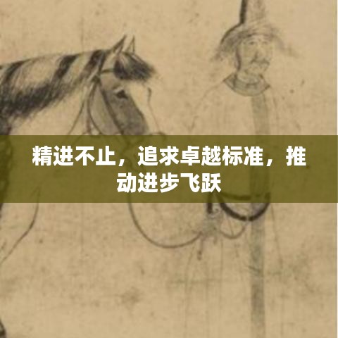 精進(jìn)不止，追求卓越標(biāo)準(zhǔn)，推動(dòng)進(jìn)步飛躍