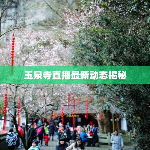 玉泉寺直播最新動態(tài)揭秘