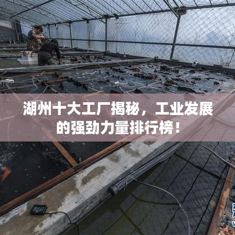 湖州十大工廠揭秘，工業(yè)發(fā)展的強勁力量排行榜！
