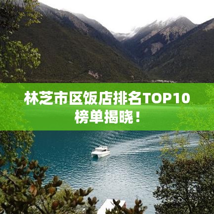 林芝市區(qū)飯店排名TOP10榜單揭曉！