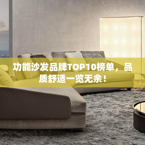 功能沙發(fā)品牌TOP10榜單，品質(zhì)舒適一覽無(wú)余！