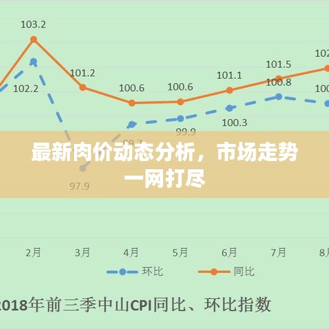 最新肉價動態(tài)分析，市場走勢一網(wǎng)打盡