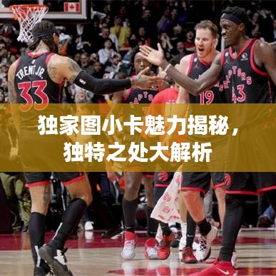 獨家圖小卡魅力揭秘，獨特之處大解析