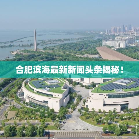 合肥濱海最新新聞?lì)^條揭秘！