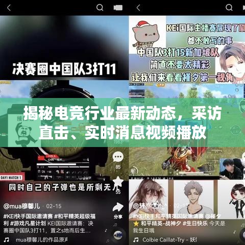 揭秘電競(jìng)行業(yè)最新動(dòng)態(tài)，采訪直擊、實(shí)時(shí)消息視頻播放