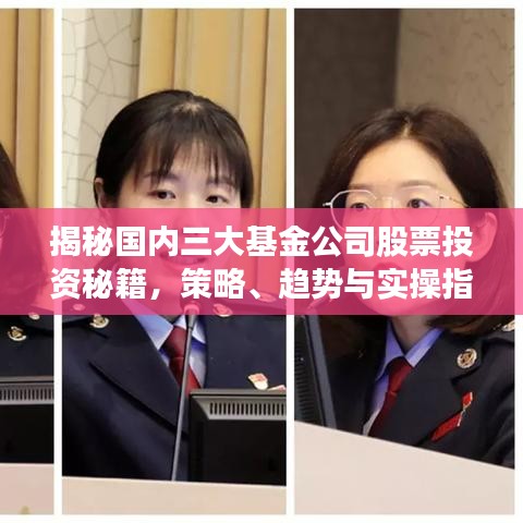 揭秘國(guó)內(nèi)三大基金公司股票投資秘籍，策略、趨勢(shì)與實(shí)操指南