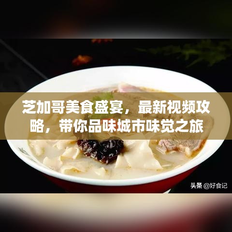 芝加哥美食盛宴，最新視頻攻略，帶你品味城市味覺(jué)之旅