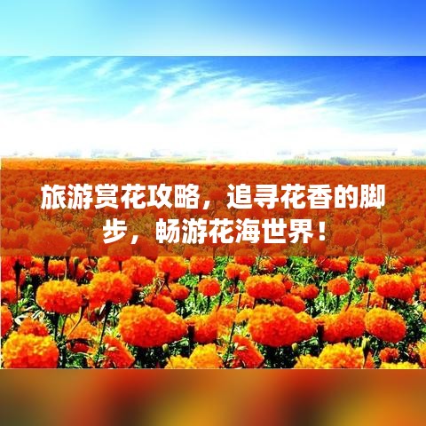 旅游賞花攻略，追尋花香的腳步，暢游花海世界！