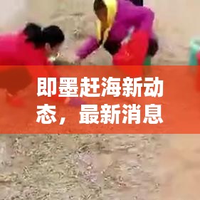 即墨趕海新動態(tài)，最新消息一網(wǎng)打盡！
