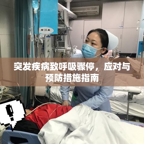 突發(fā)疾病致呼吸驟停，應對與預防措施指南