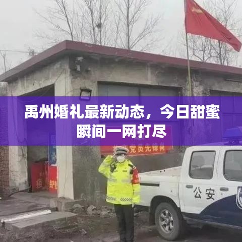 禹州婚禮最新動態(tài)，今日甜蜜瞬間一網(wǎng)打盡