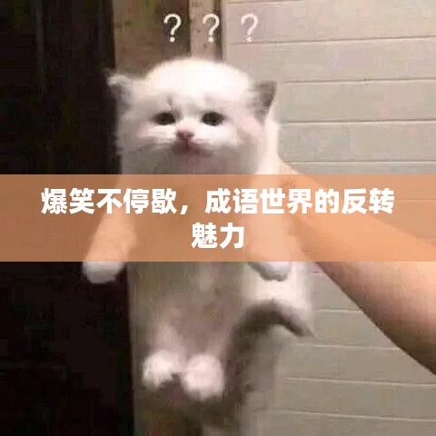 爆笑不停歇，成語(yǔ)世界的反轉(zhuǎn)魅力