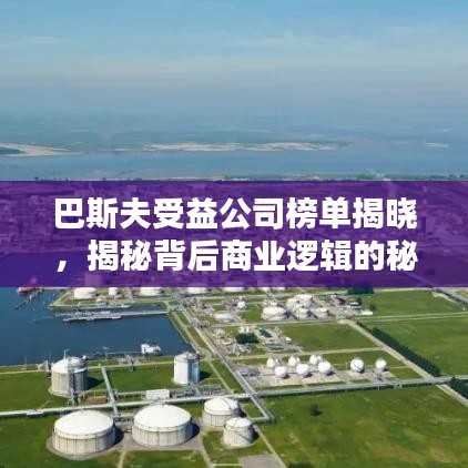 巴斯夫受益公司榜單揭曉，揭秘背后商業(yè)邏輯的秘密