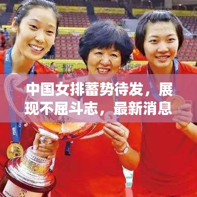 中國女排蓄勢待發(fā)，展現(xiàn)不屈斗志，最新消息引關(guān)注！