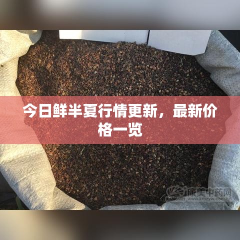今日鮮半夏行情更新，最新價(jià)格一覽