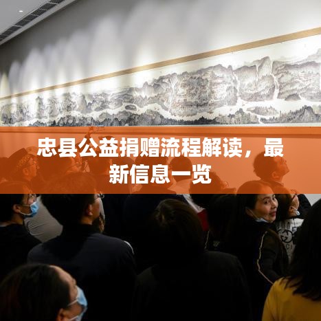 忠縣公益捐贈流程解讀，最新信息一覽