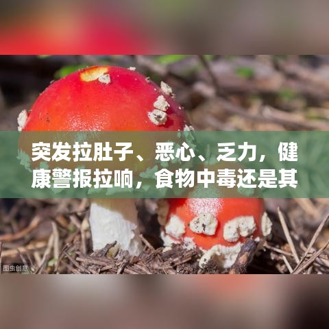 突發(fā)拉肚子、惡心、乏力，健康警報(bào)拉響，食物中毒還是其他健康問(wèn)題？