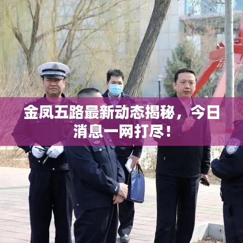 金鳳五路最新動(dòng)態(tài)揭秘，今日消息一網(wǎng)打盡！