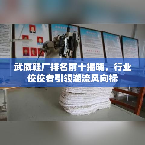 武威鞋廠排名前十揭曉，行業(yè)佼佼者引領(lǐng)潮流風(fēng)向標(biāo)